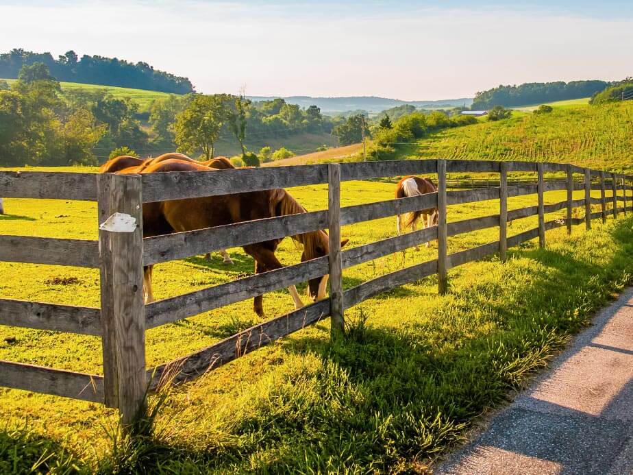 Farm Fence Contractor - St. Louis MO