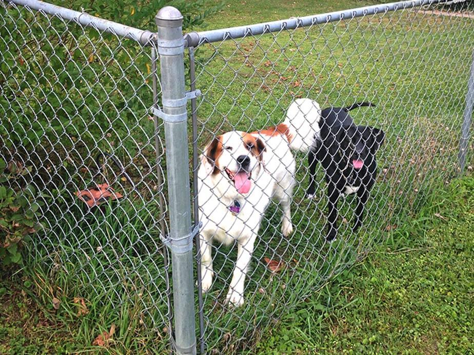 chain link fence Madison County Illinois